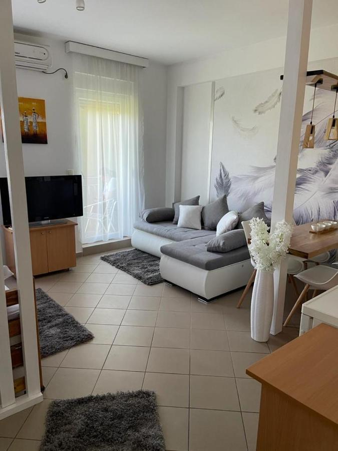 Apartman Lukic Banja Koviljaca Exterior photo