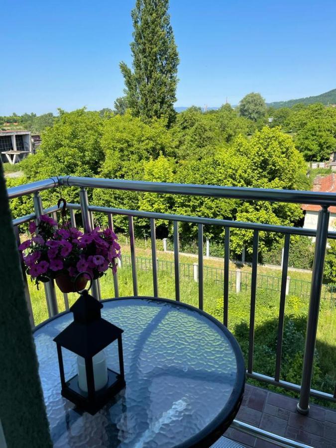 Apartman Lukic Banja Koviljaca Exterior photo